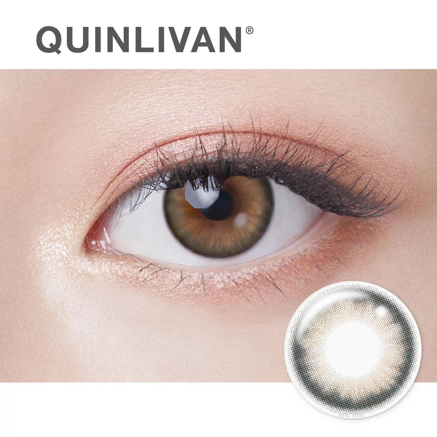 Quinlivan 昆凌Maison|微美瞳彩色日拋10片裝-SUN 陽光金